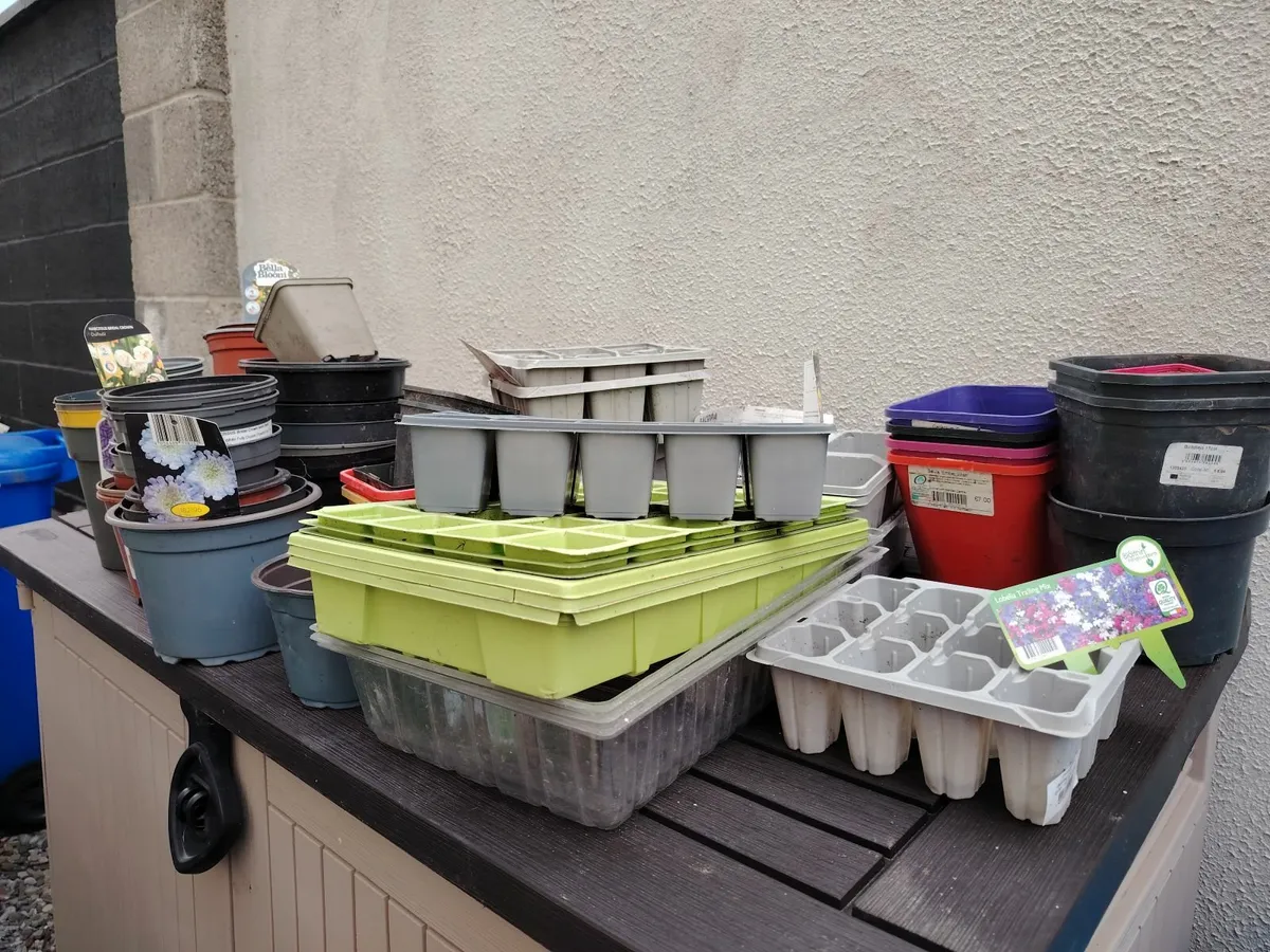 Free Plant pots - Image 2