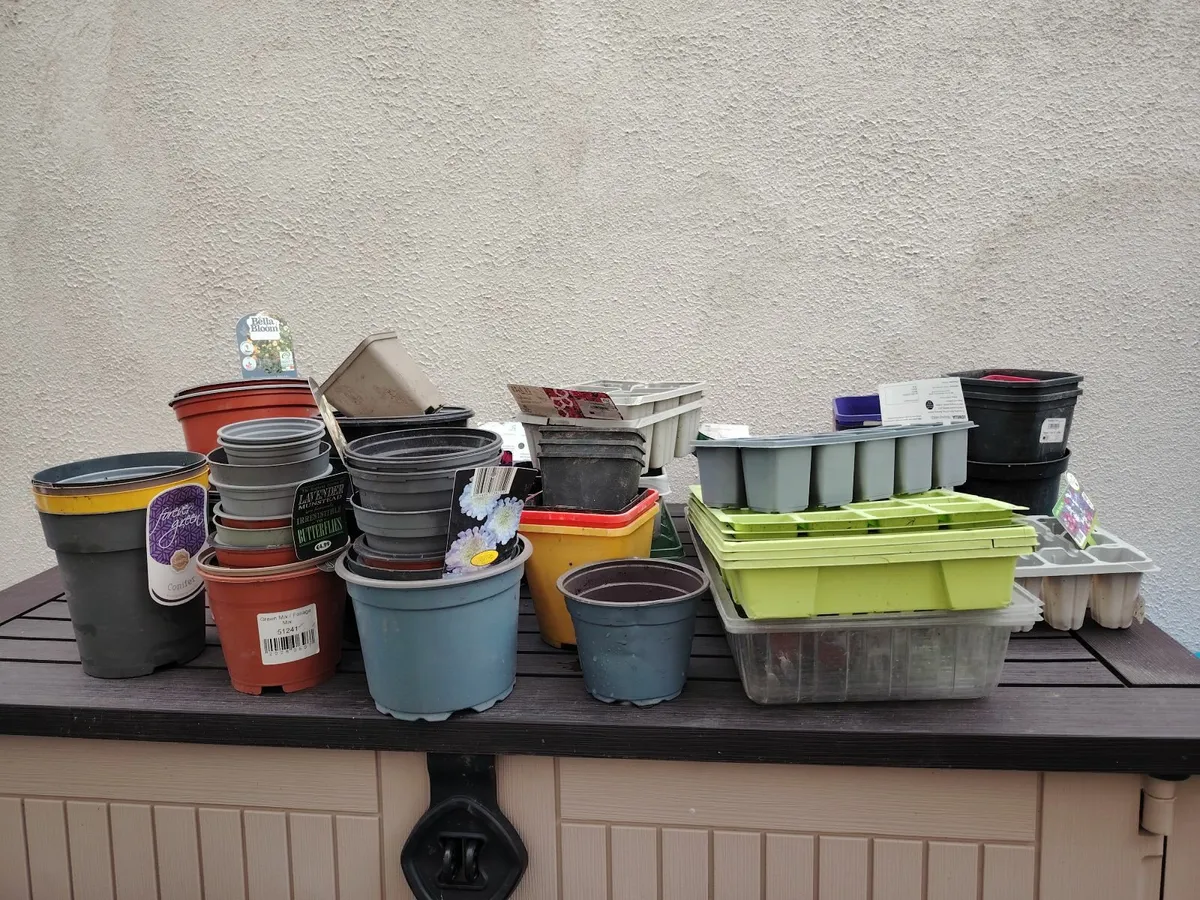 Free Plant pots - Image 3