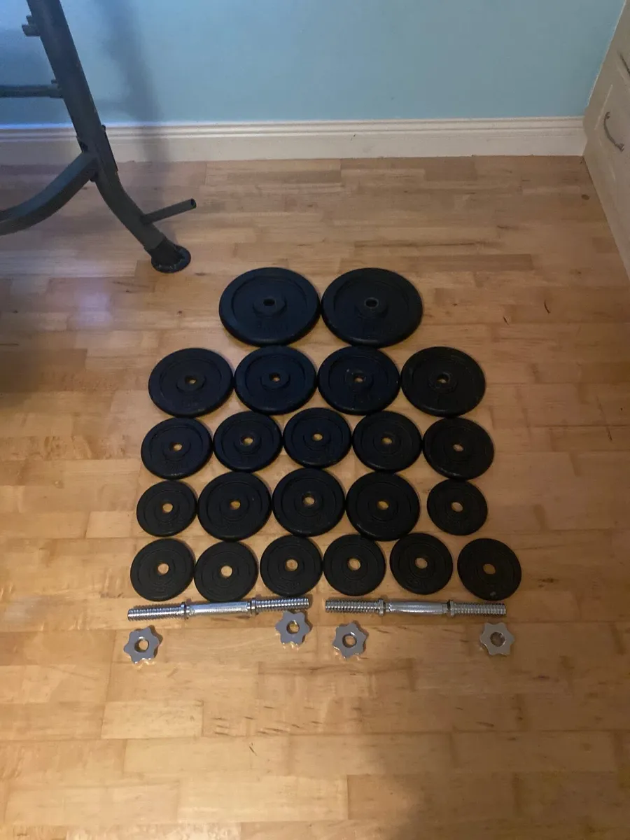 Gym weights - Image 1