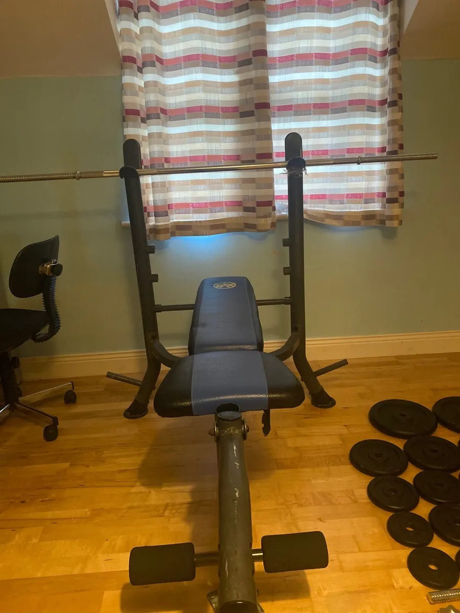 Gym weights - Image 2