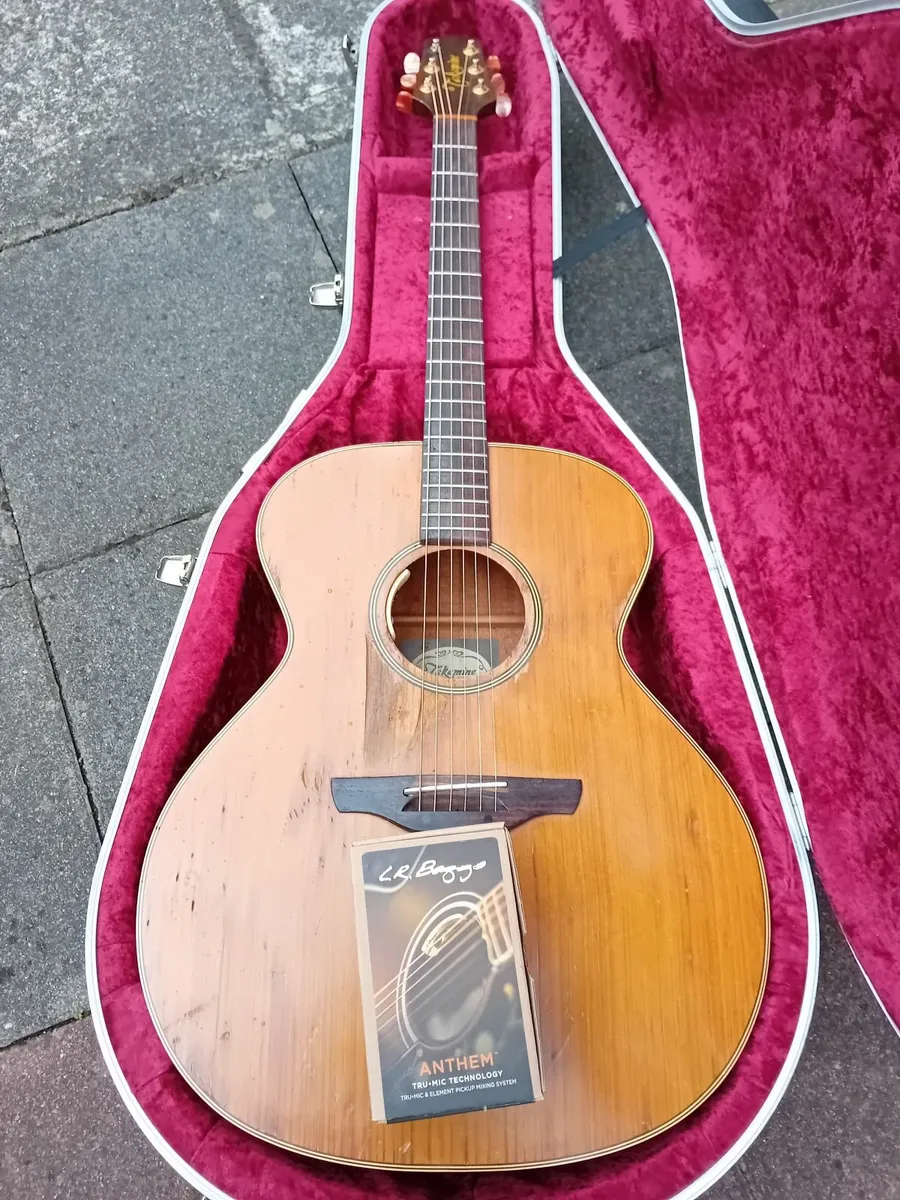 Takamine EN20 Guitar - Image 1