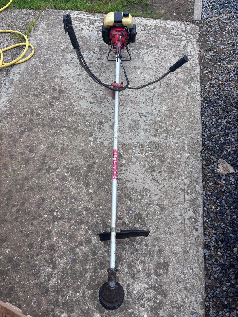 Strimmer - Image 1