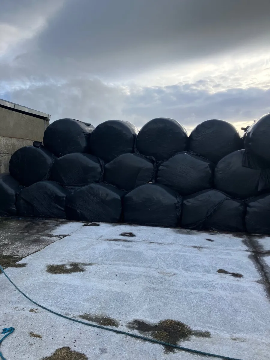 Silage bales
