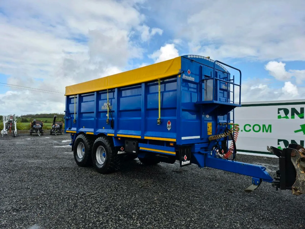 ‼️‼️⏰️AUCTION 27th june ⏰️‼️ - Image 1