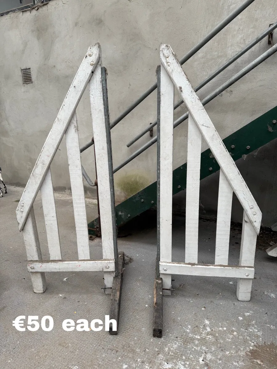 Showjumps & Fillers - Image 1