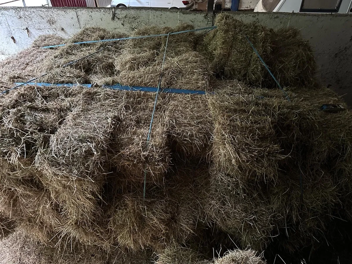 Small square bales of hay and haylage - Image 1