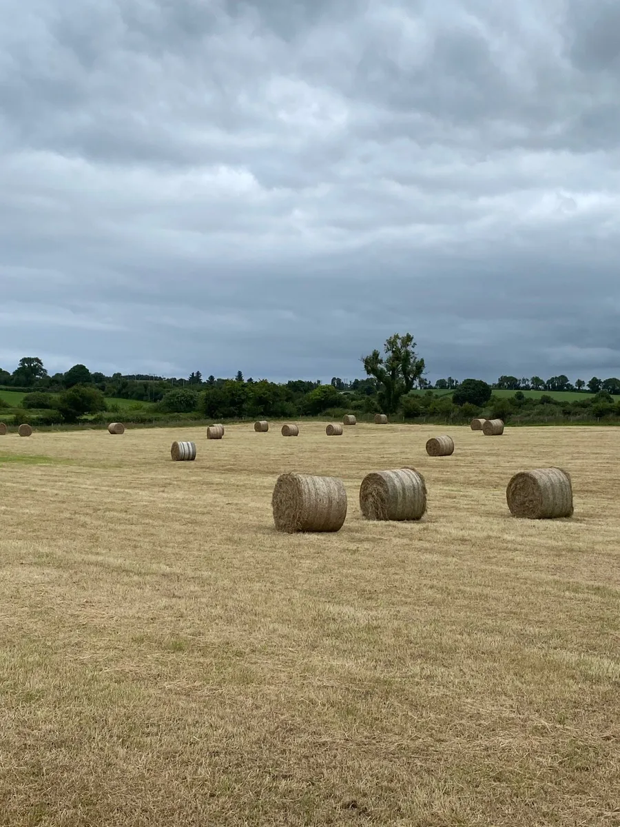 Round bales of hay for sale