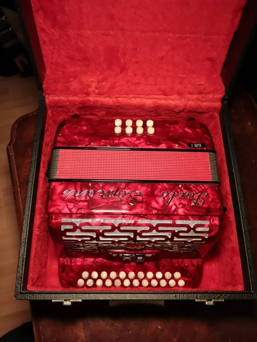 Button Accordion - Image 2