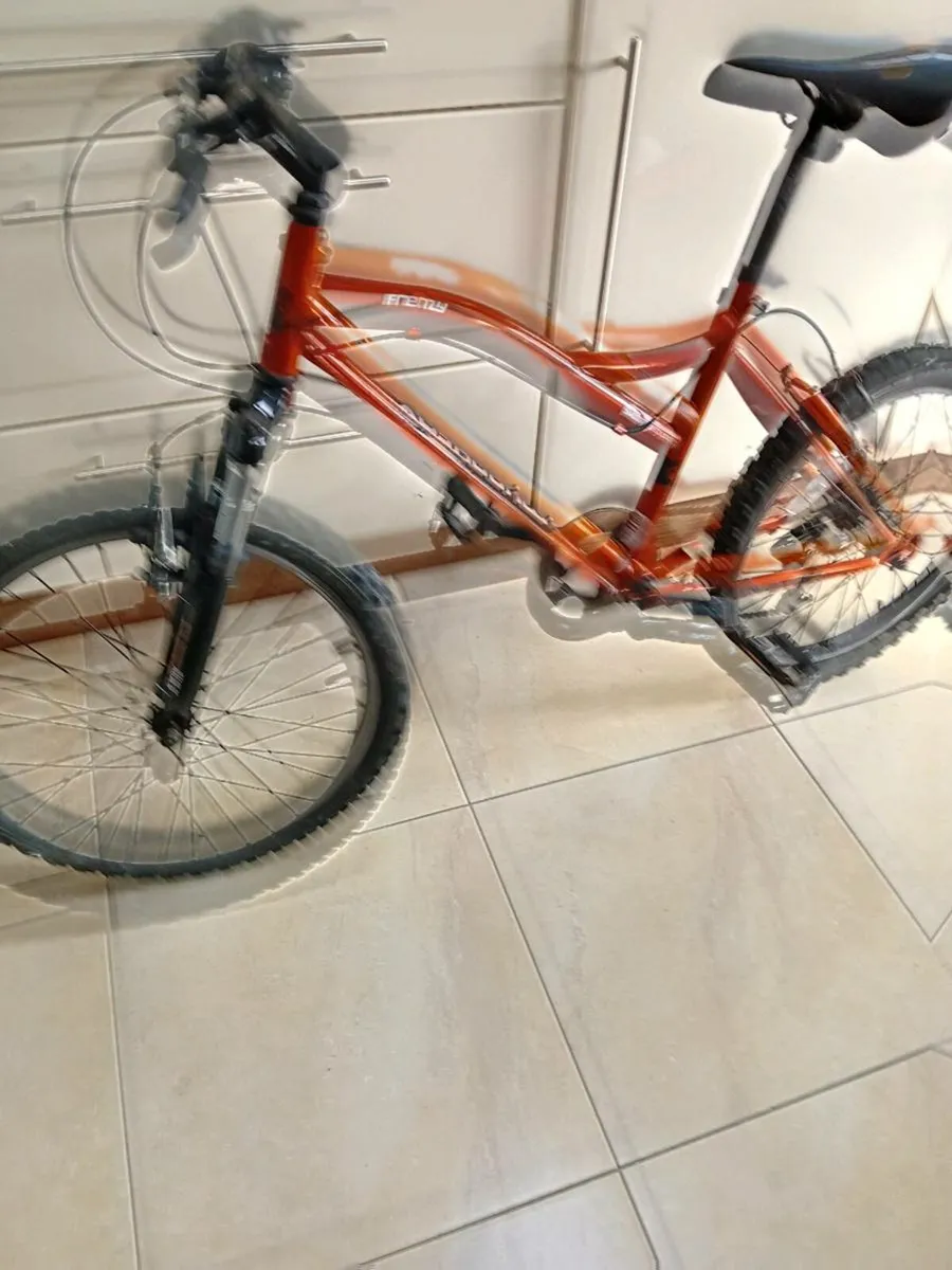 BOYS MOUNTAIN BIKE 20. INCH WHEELS