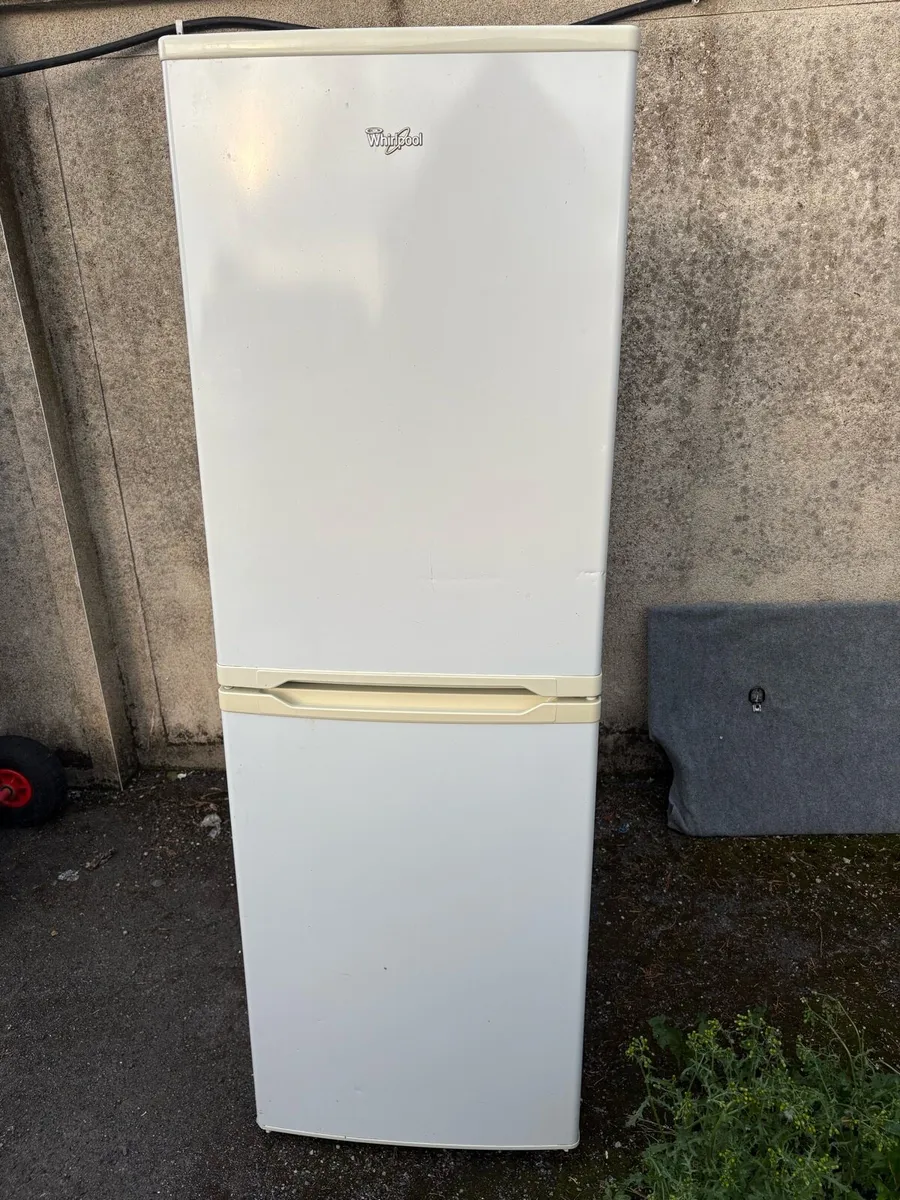 Fridge freezer - Image 2