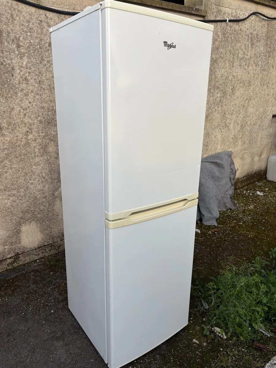 Fridge freezer - Image 3