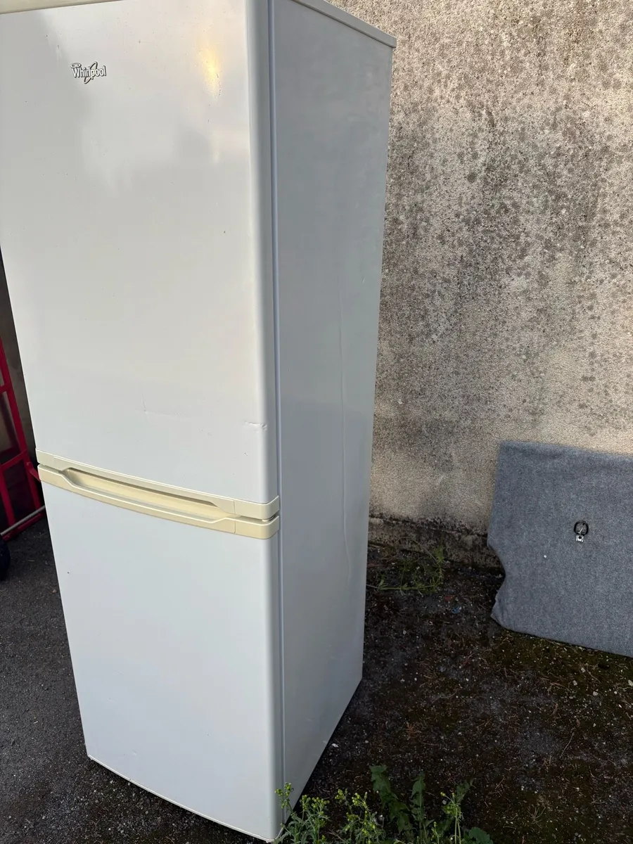 Fridge freezer - Image 4