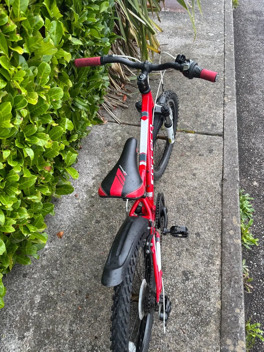 Kids Carrera Blast MTB bike - Image 4