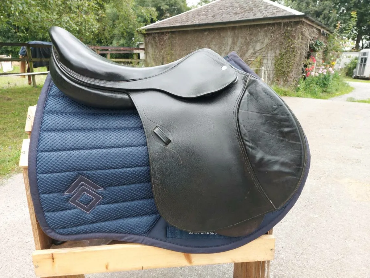 Pariani jump saddle - Image 4