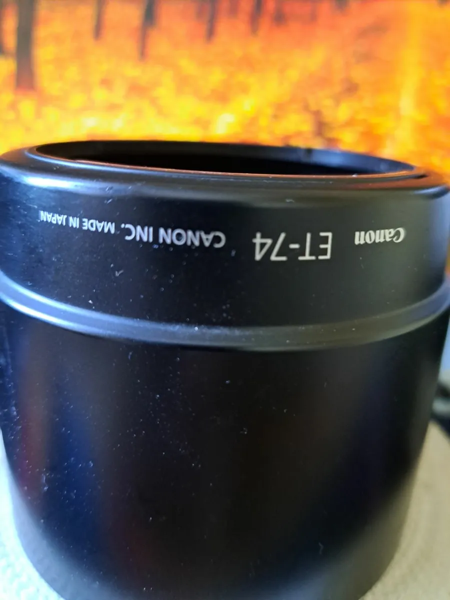 Canon 70-200mm f4 IS - Image 2