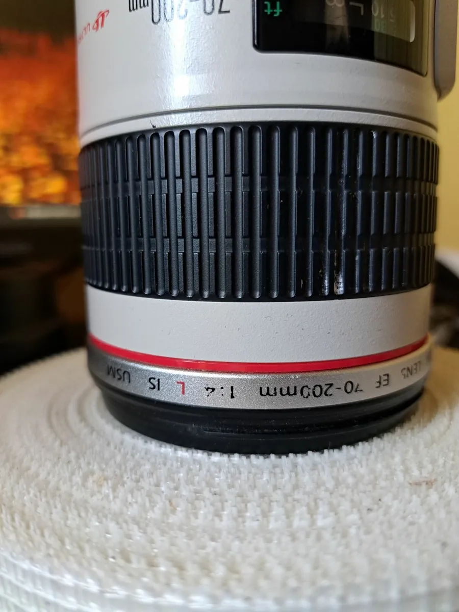 Canon 70-200mm f4 IS - Image 4