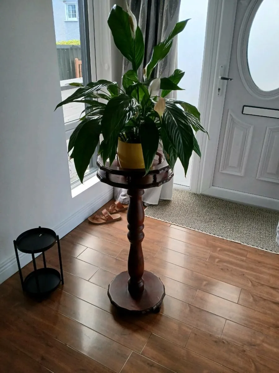 Vintage Mahogany table - Image 1