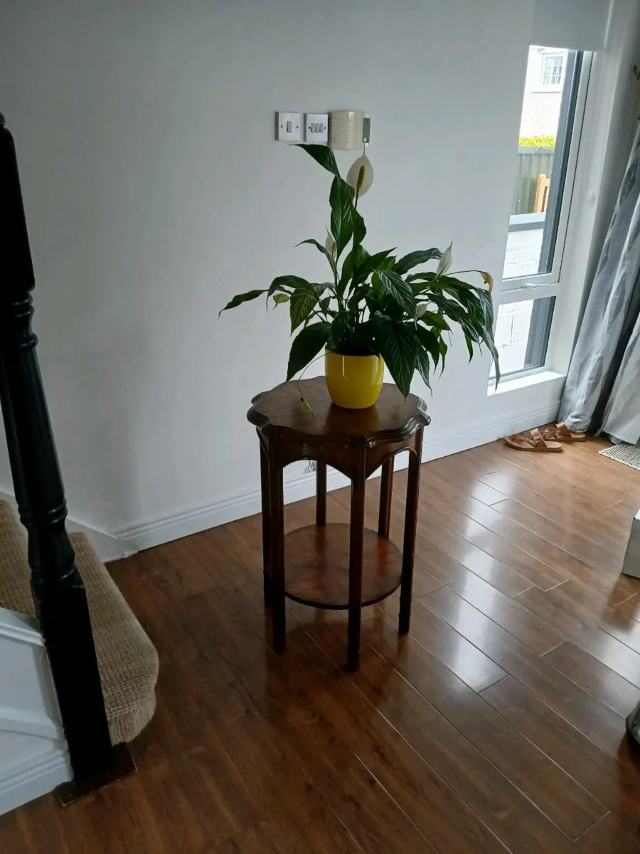 Vintage Mahogany Stand - Image 1