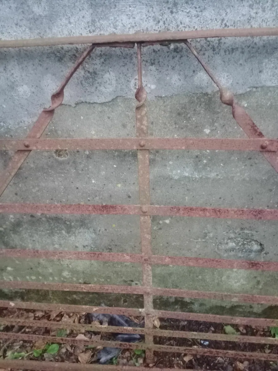 Old iron gate - Image 4