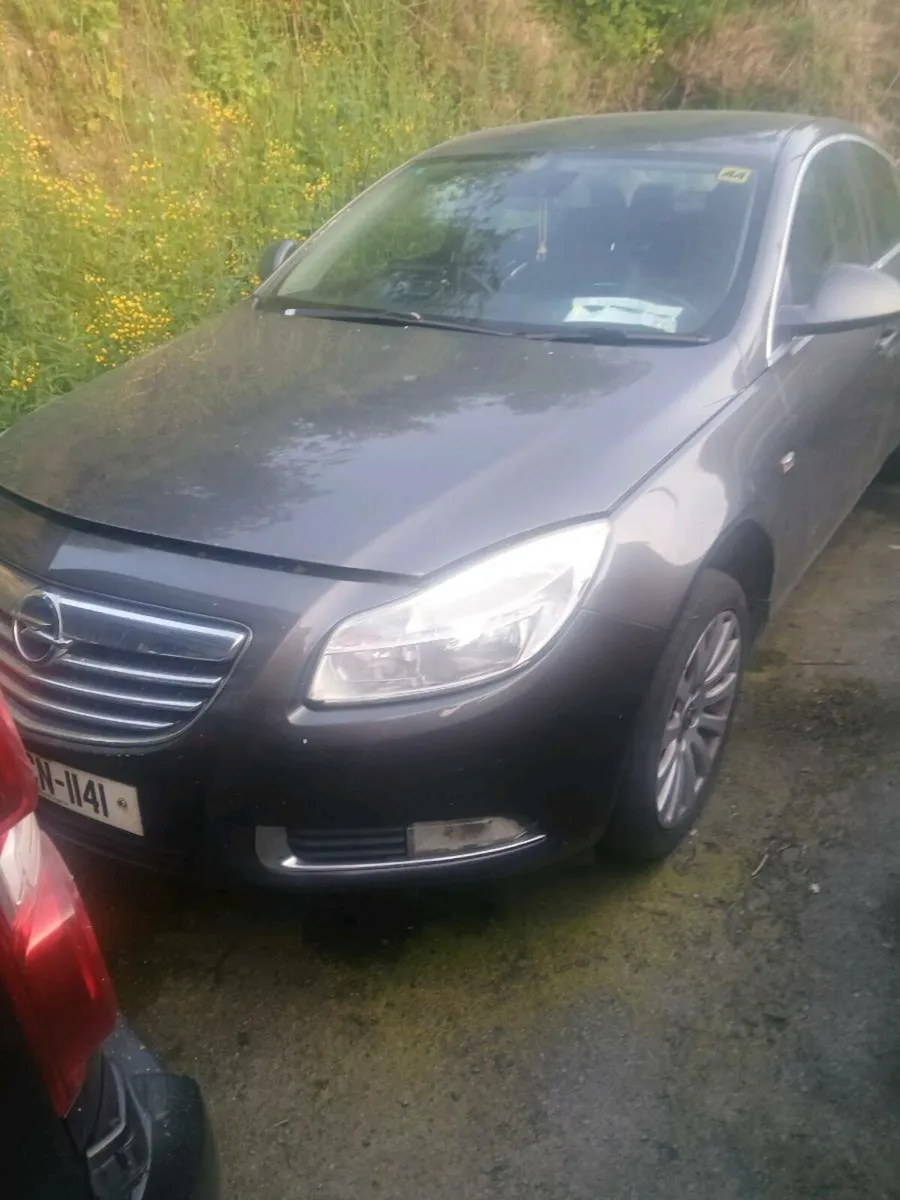 Insignia 2010 breaking - Image 1