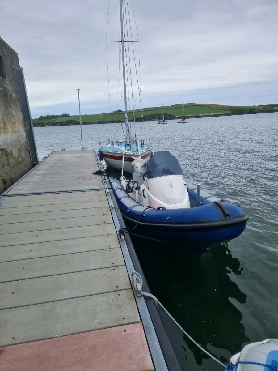 Rib - Image 1