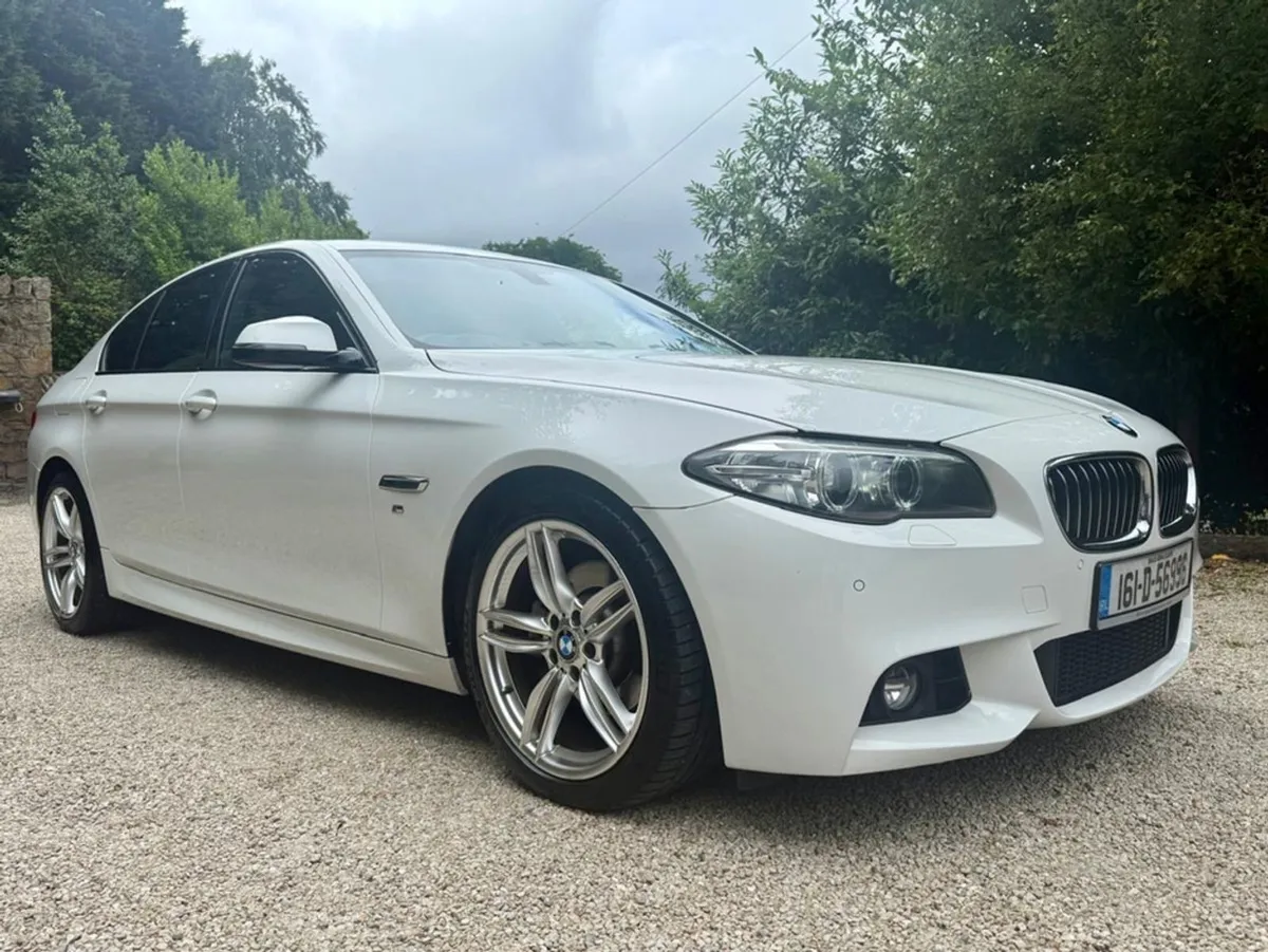 BMW 5 Series 520D M Sport  f.bmw.s.h.aa Approved - Image 3