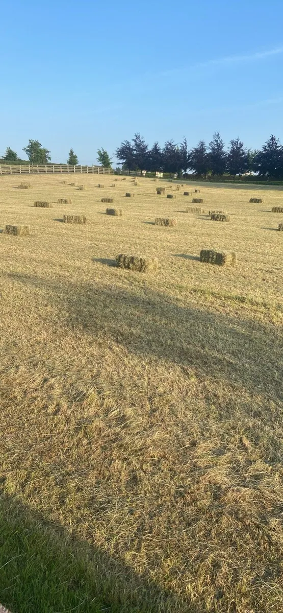Small square bales - Image 1