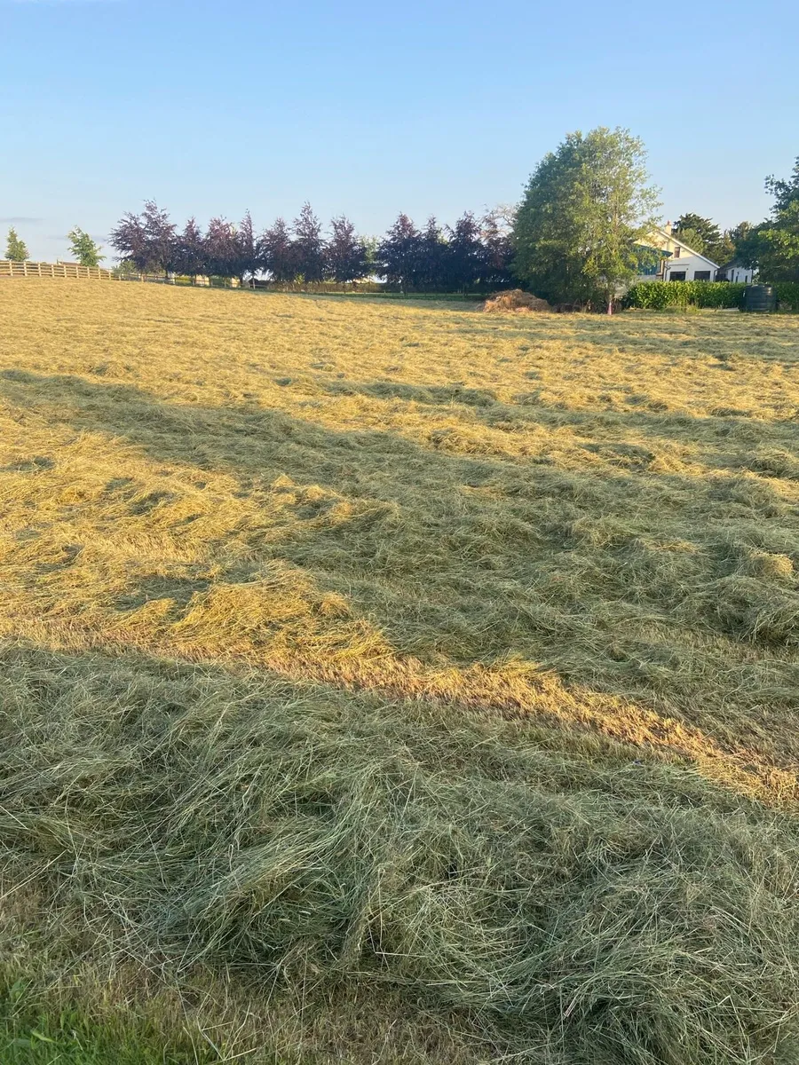 Small square bales - Image 4