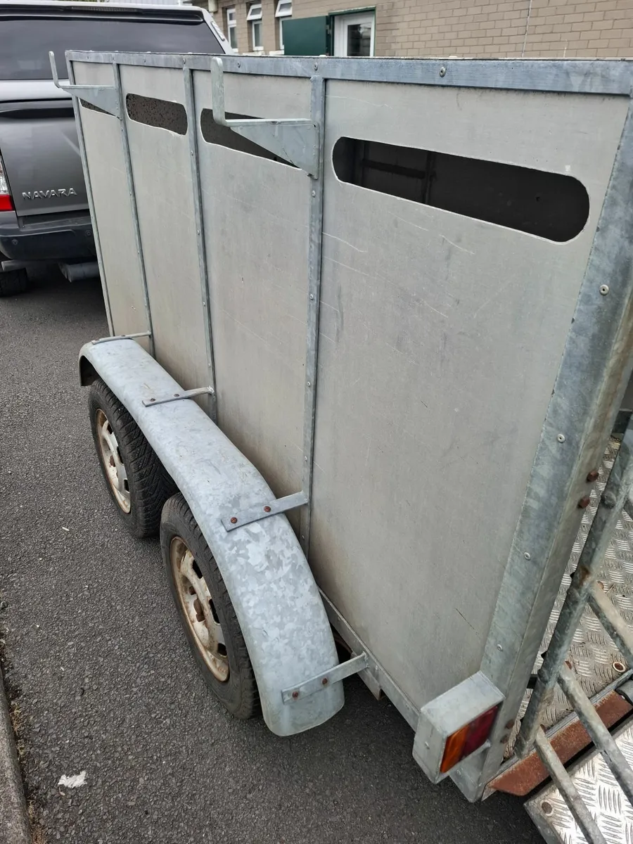 7 x 4  Sheep Trailer c/w loading gates - Image 3