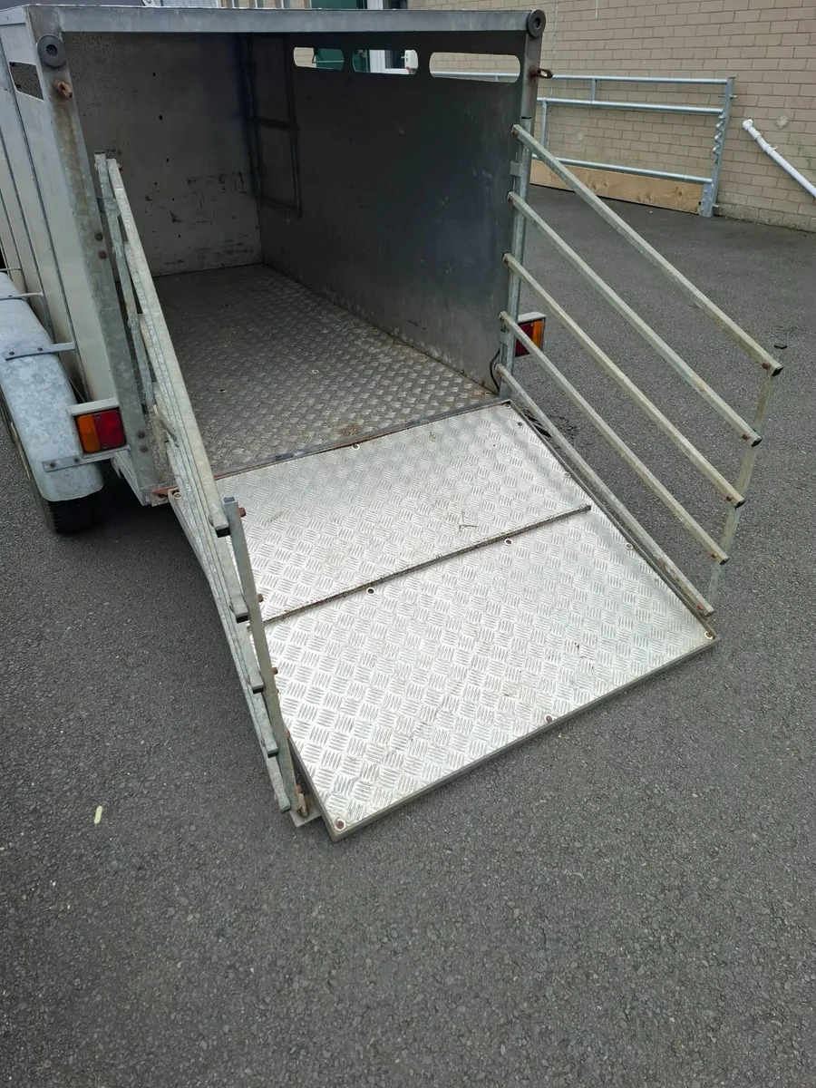 7 x 4  Sheep Trailer c/w loading gates - Image 4
