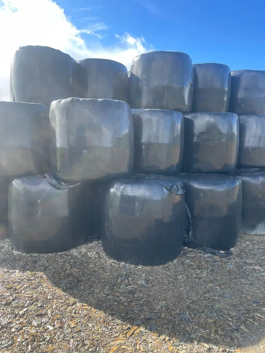 Top class haylage for sale