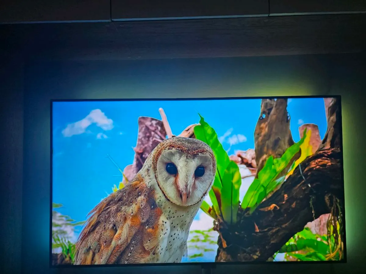 LG  65 INCH TV with Govee TV LED Backlight - Image 1