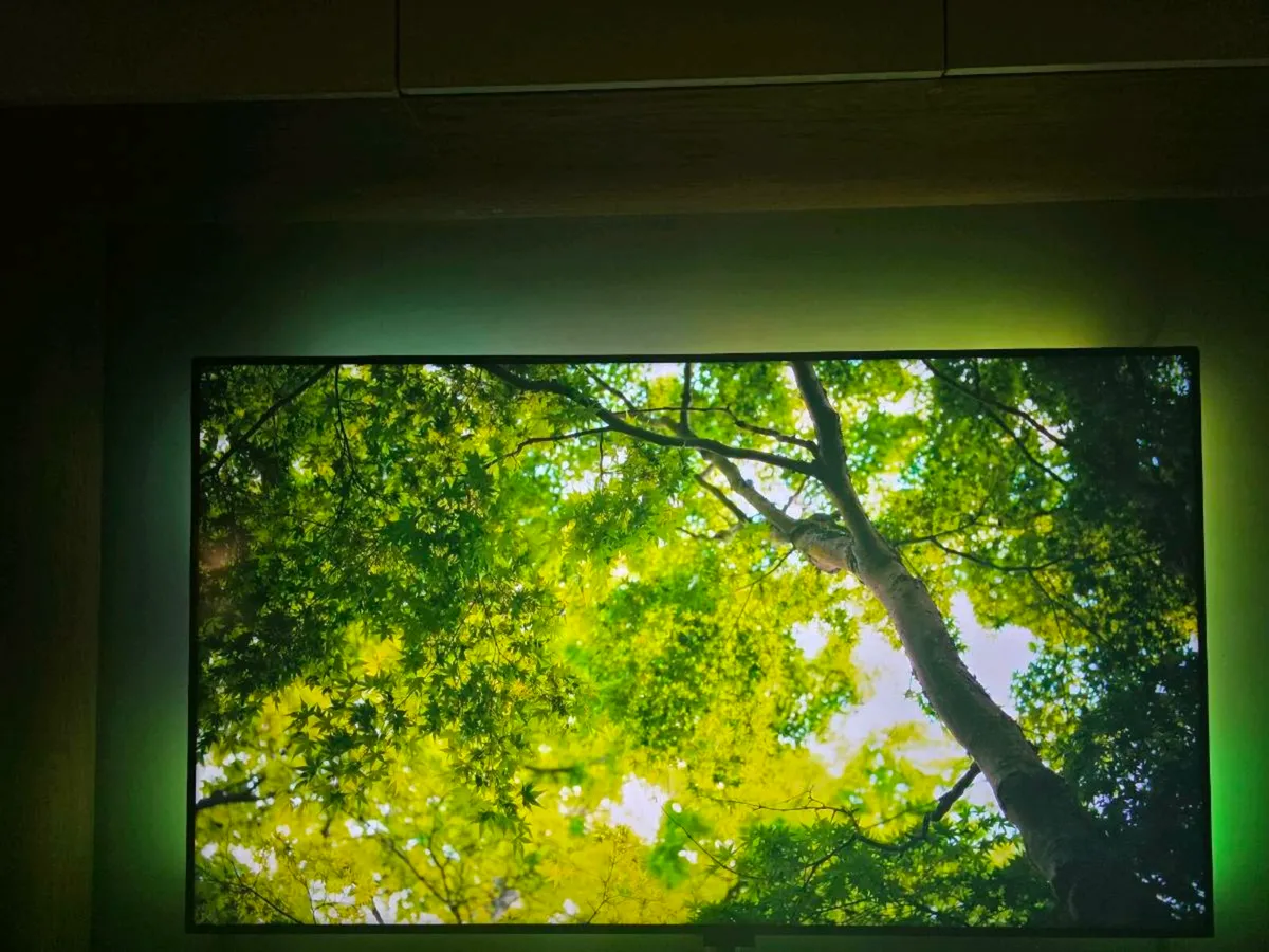 LG  65 INCH TV with Govee TV LED Backlight - Image 2