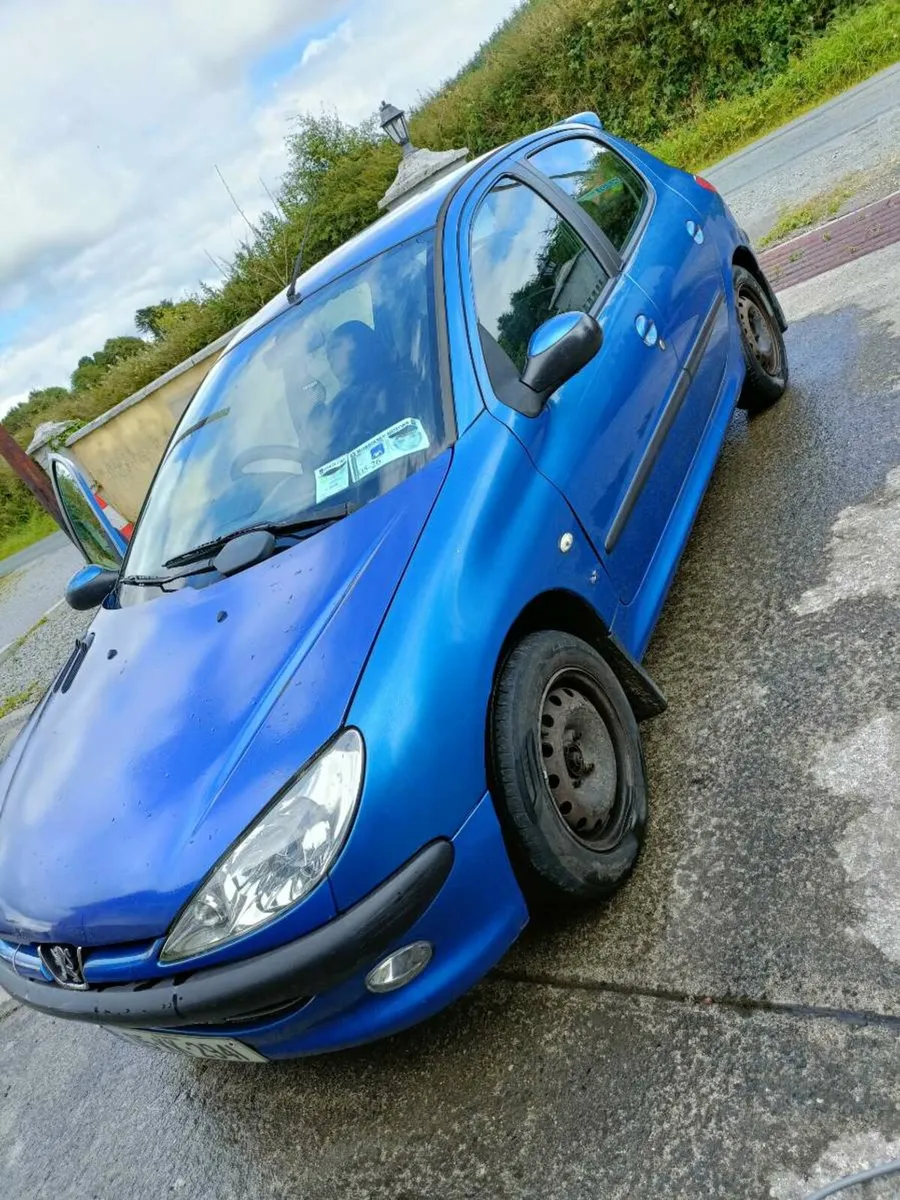 Peugeot 206 - Image 4