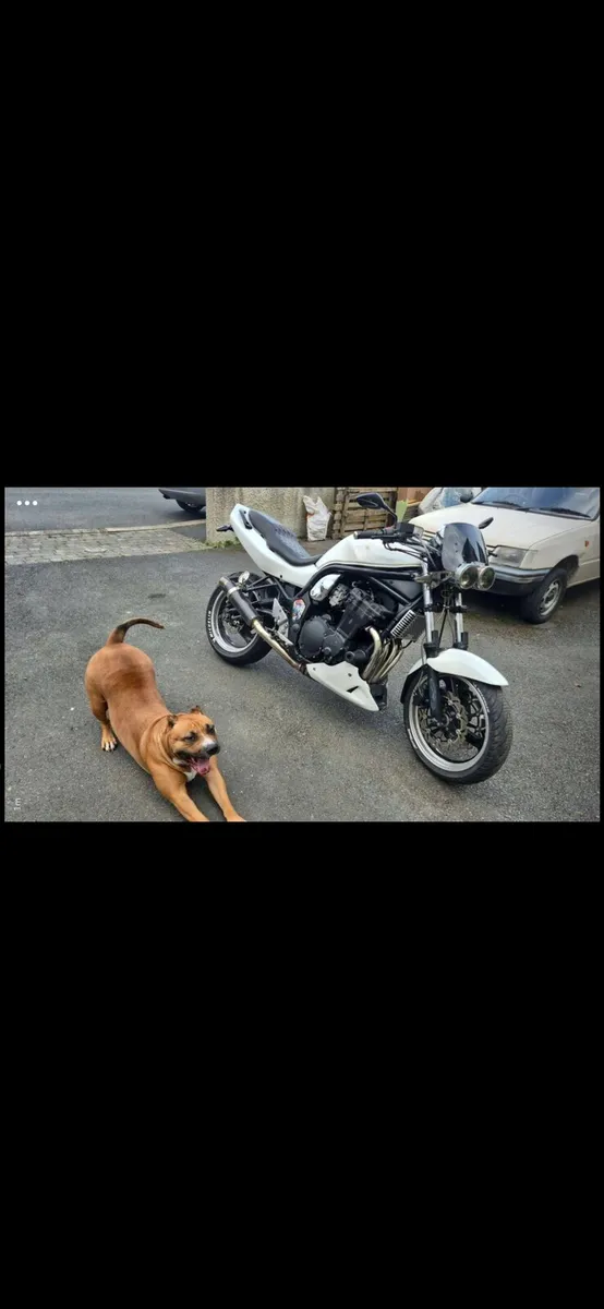 Suzuki Bandit 600cc MK1 - Image 4