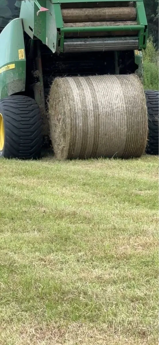 Hay - Image 4