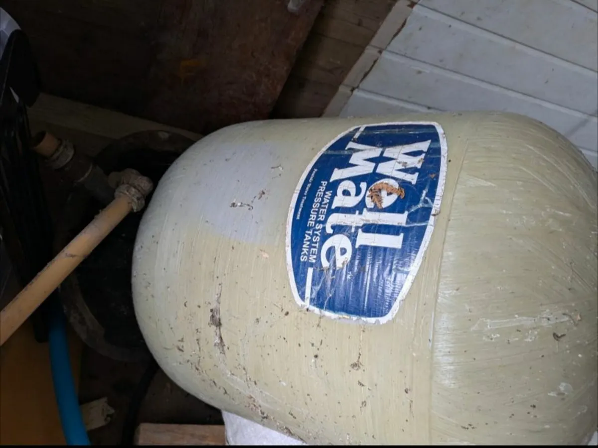 Well pump - Image 1