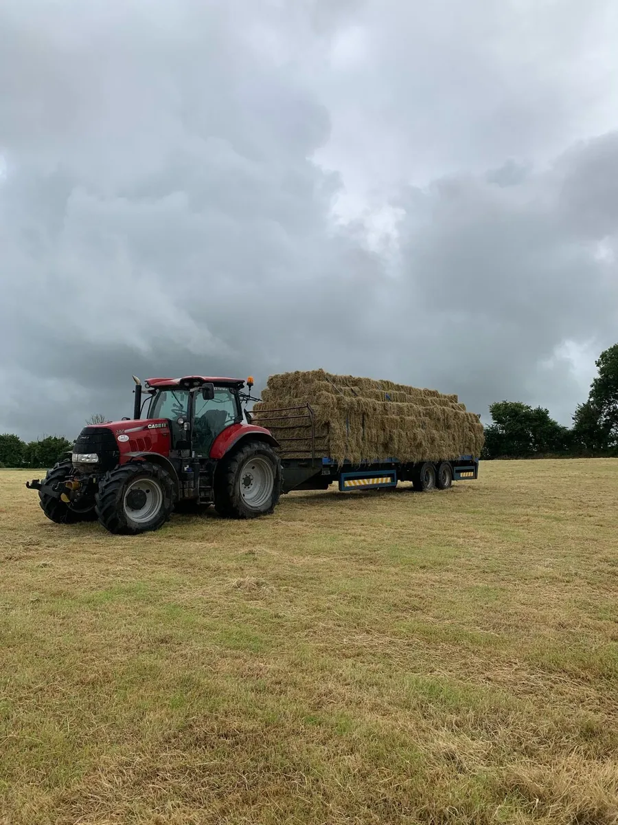Square bales of horse hay