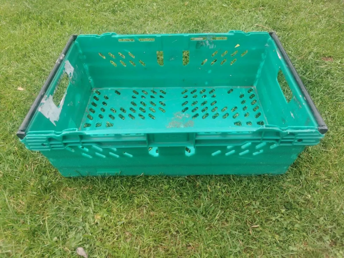 Storage crates