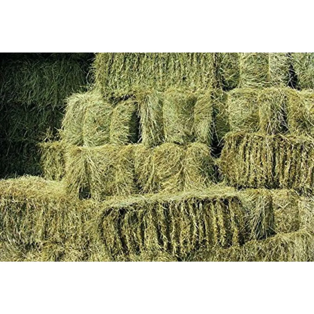 Small Bale Hay
