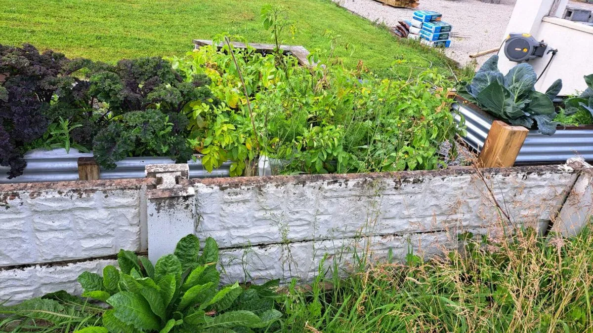 Concrete Fence Panels. FREE - Image 1