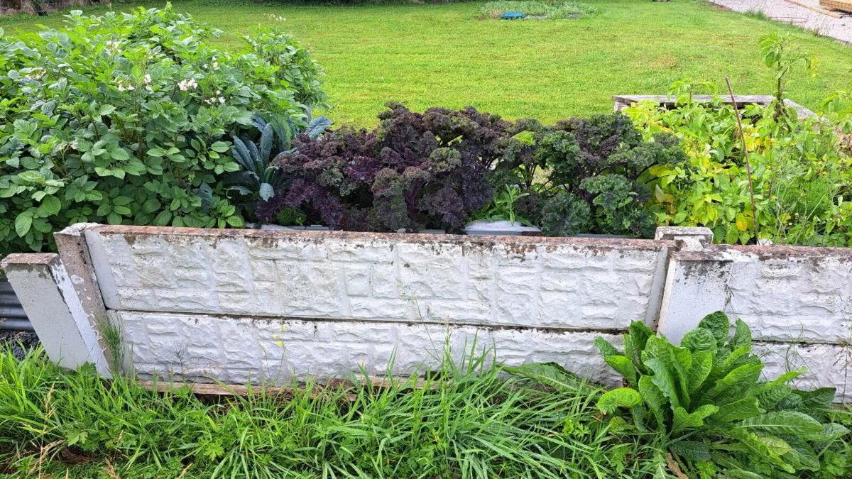 Concrete Fence Panels. FREE - Image 2