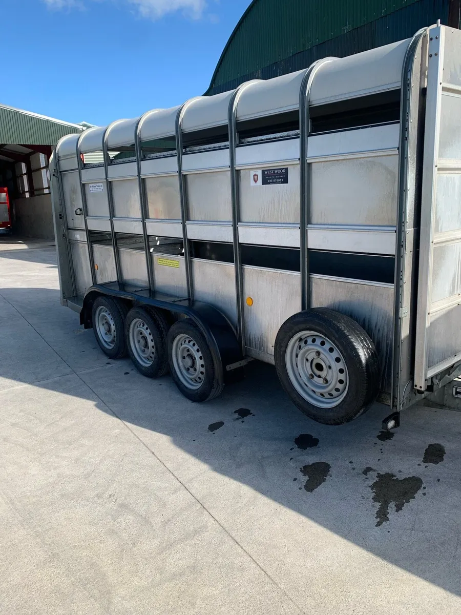 Cattle sheep trailer - Image 1