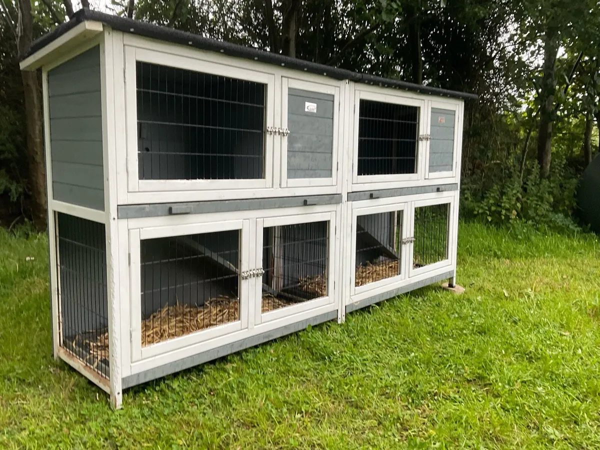 SPACIOUS Rabbit & guinea pig hutch - Image 1
