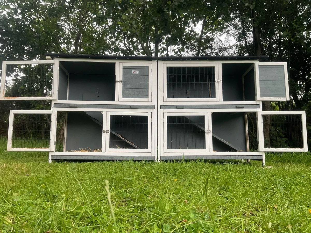 SPACIOUS Rabbit & guinea pig hutch - Image 3
