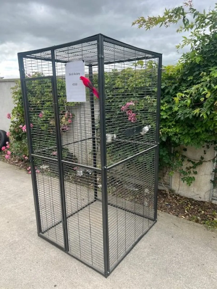 Parrot , medium large bird Aviaries - Image 2