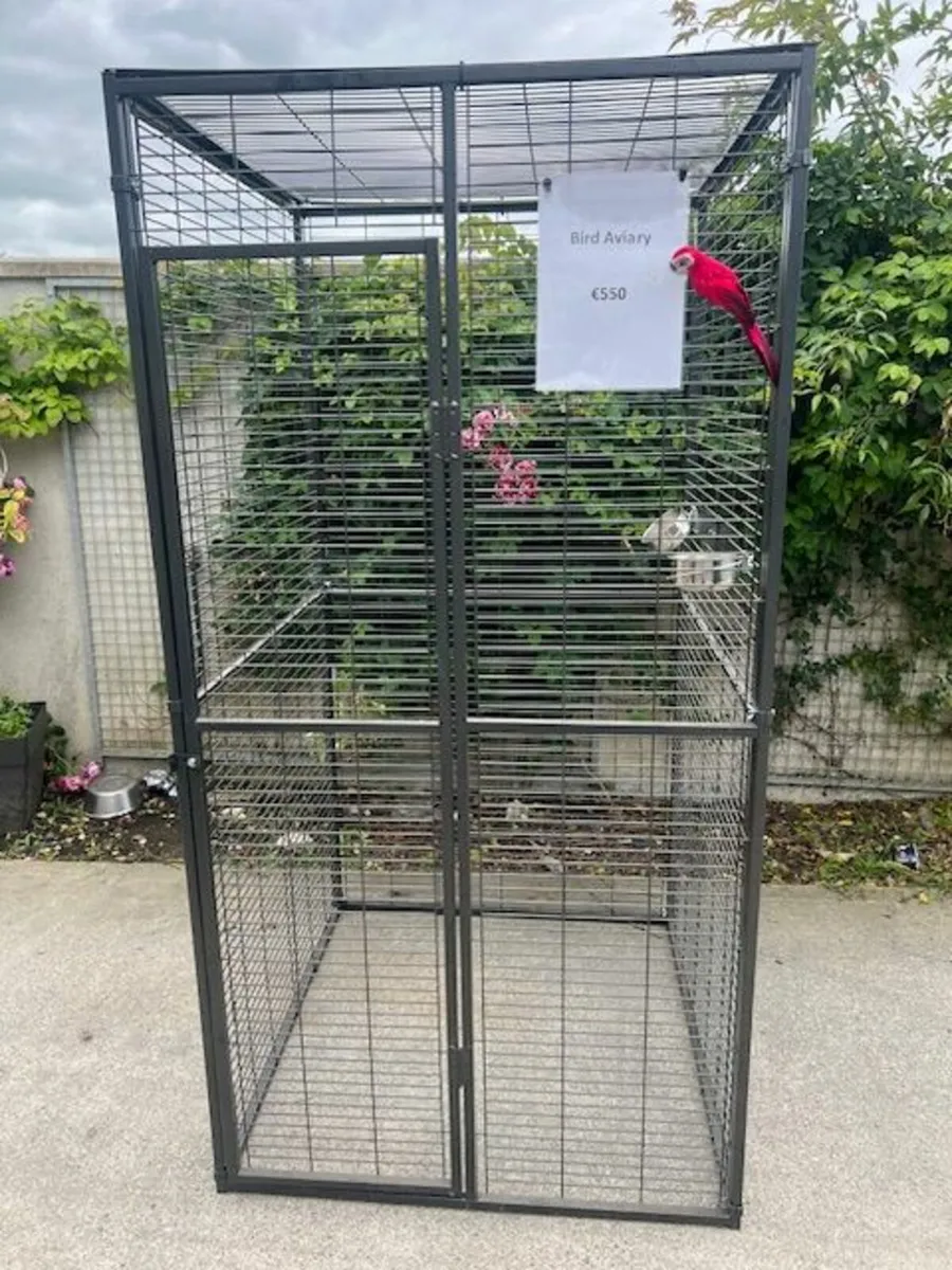 Parrot , medium large bird Aviaries - Image 3