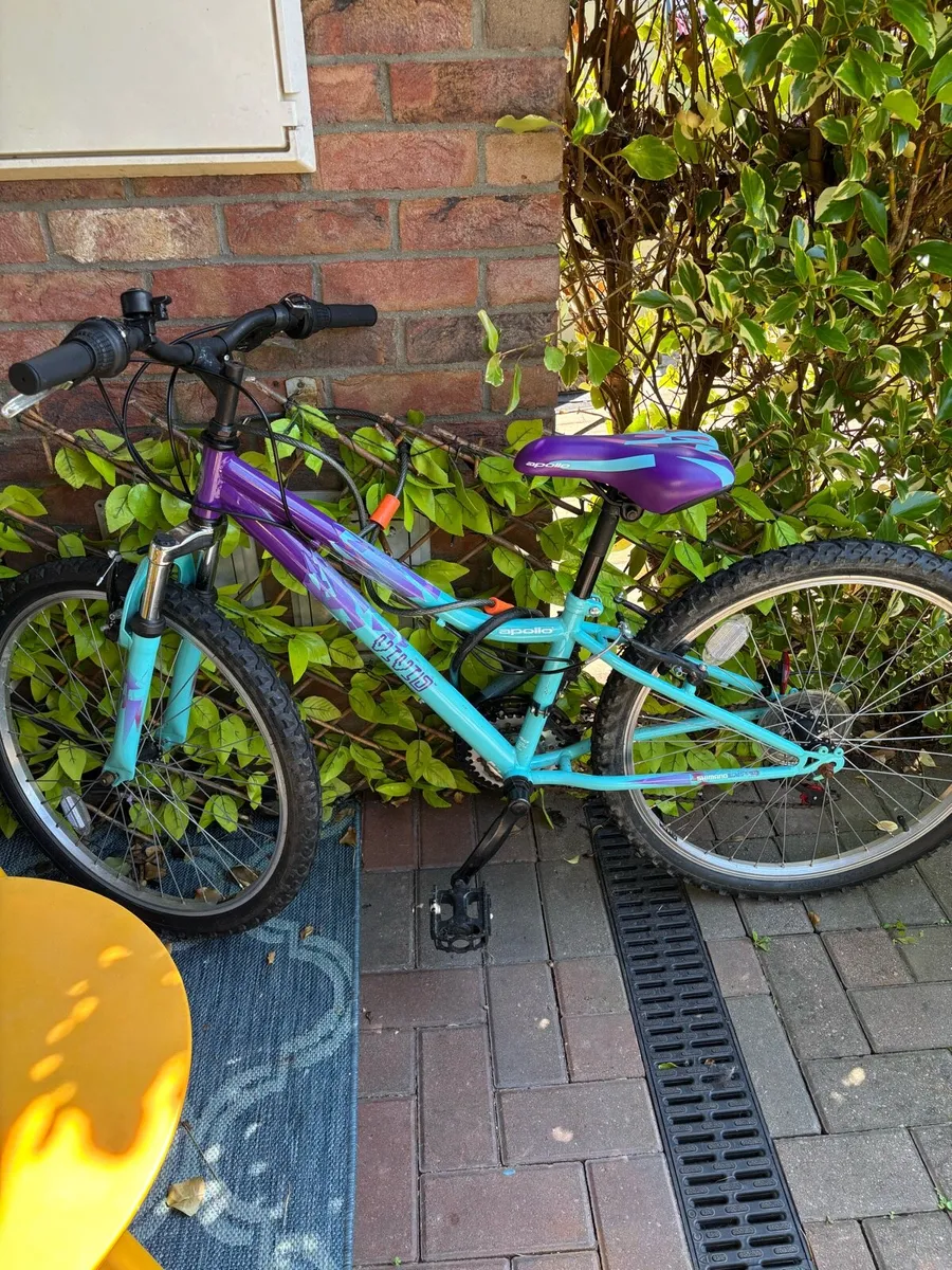 Bike - Image 1