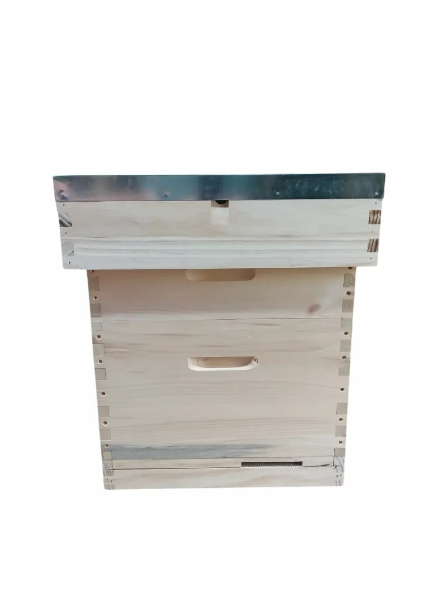 Bee Hives and Beekeeping Equipment - Image 1