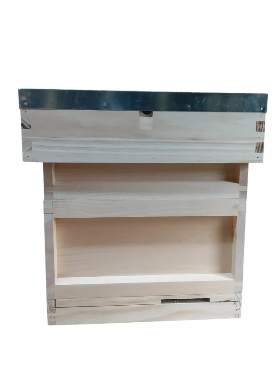 Bee Hives and Beekeeping Equipment - Image 2